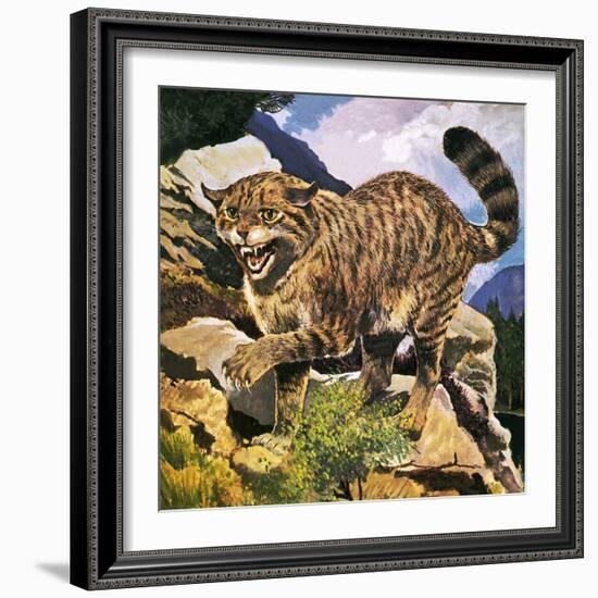Wildcat-G. W Backhouse-Framed Giclee Print