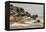 Wildebeest herd crossing Mara River in late summer, Masai Mara, Kenya, Africa-Adam Jones-Framed Premier Image Canvas