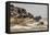 Wildebeest herd crossing Mara River in late summer, Masai Mara, Kenya, Africa-Adam Jones-Framed Premier Image Canvas