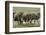 Wildebeest herd during migration, Serengeti National Park, Tanzania, Africa-Adam Jones-Framed Photographic Print