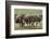 Wildebeest herd during migration, Serengeti National Park, Tanzania, Africa-Adam Jones-Framed Photographic Print