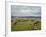 Wildebeest Herd with Calves, Ngorongoro Crater, Tanzania-Edwin Giesbers-Framed Photographic Print