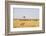 Wildebeest, Masai Mara, Kenya-Sergio Pitamitz-Framed Photographic Print