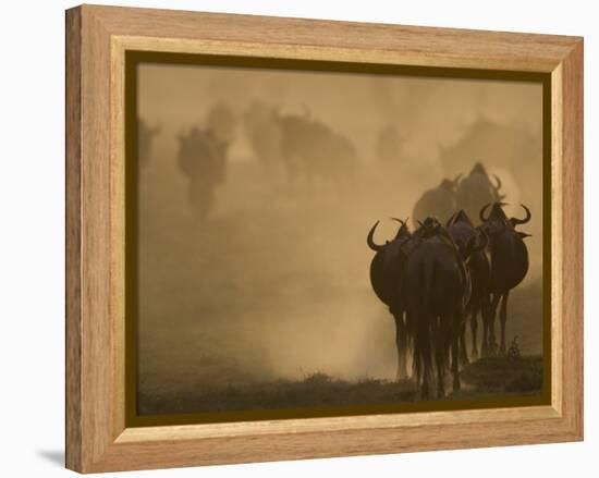 Wildebeest Migration, Tanzania-Charles Sleicher-Framed Premier Image Canvas