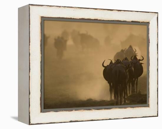 Wildebeest Migration, Tanzania-Charles Sleicher-Framed Premier Image Canvas