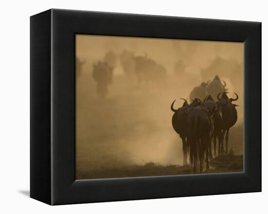 Wildebeest Migration, Tanzania-Charles Sleicher-Framed Premier Image Canvas