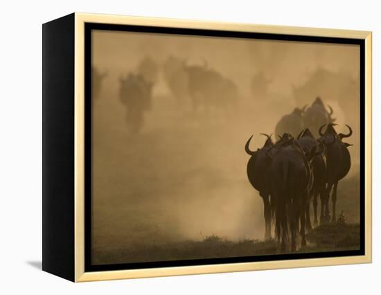 Wildebeest Migration, Tanzania-Charles Sleicher-Framed Premier Image Canvas