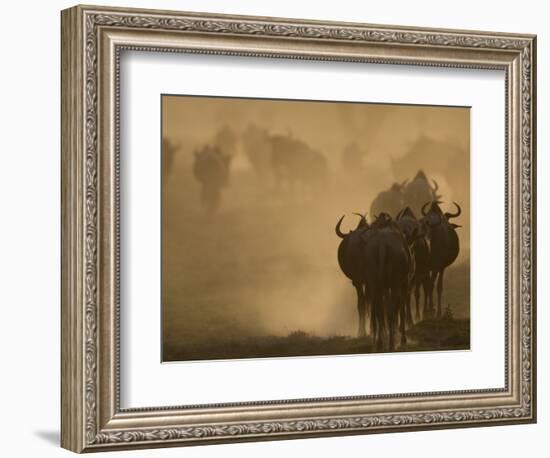 Wildebeest Migration, Tanzania-Charles Sleicher-Framed Photographic Print