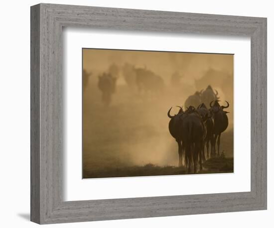 Wildebeest Migration, Tanzania-Charles Sleicher-Framed Photographic Print