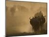 Wildebeest Migration, Tanzania-Charles Sleicher-Mounted Photographic Print