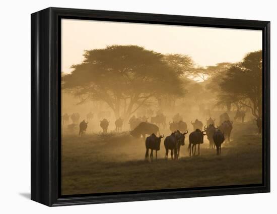 Wildebeest Migration, Tanzania-Charles Sleicher-Framed Premier Image Canvas