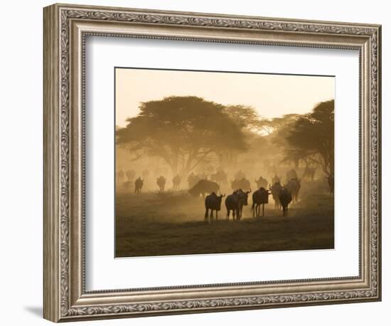 Wildebeest Migration, Tanzania-Charles Sleicher-Framed Photographic Print