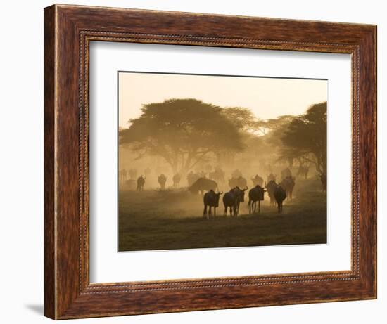 Wildebeest Migration, Tanzania-Charles Sleicher-Framed Photographic Print