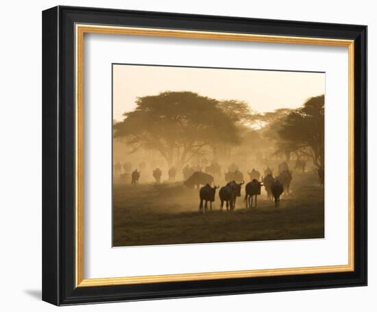 Wildebeest Migration, Tanzania-Charles Sleicher-Framed Photographic Print