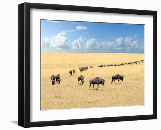 Wildebeest, National Park of Kenya, Africa-Volodymyr Burdiak-Framed Photographic Print