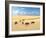 Wildebeest, National Park of Kenya, Africa-Volodymyr Burdiak-Framed Photographic Print