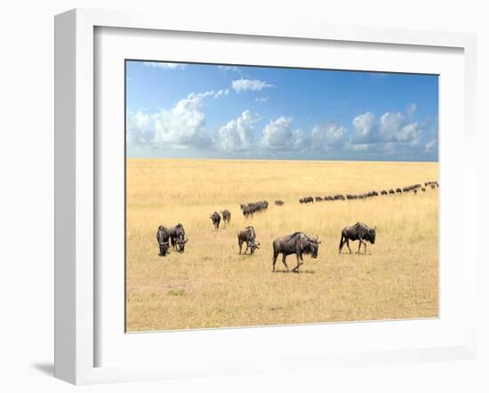 Wildebeest, National Park of Kenya, Africa-Volodymyr Burdiak-Framed Photographic Print