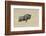 Wildebeest on the open pan Etosha National Park-Darrell Gulin-Framed Photographic Print