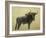 Wildebeest-James W. Johnson-Framed Giclee Print