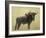 Wildebeest-James W. Johnson-Framed Giclee Print