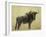 Wildebeest-James W. Johnson-Framed Giclee Print