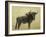 Wildebeest-James W. Johnson-Framed Giclee Print