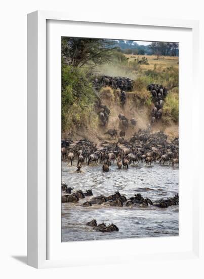 Wildebeests Crossing Mara River, Serengeti National Park, Tanzania-null-Framed Photographic Print