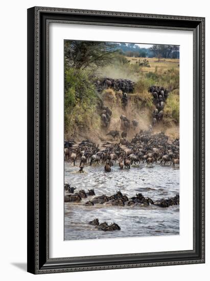 Wildebeests Crossing Mara River, Serengeti National Park, Tanzania-null-Framed Photographic Print