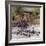 Wildebeests Crossing Mara River, Serengeti National Park, Tanzania-null-Framed Photographic Print