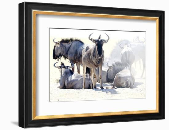 Wilderbeast-Eric Meyer-Framed Photographic Print