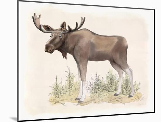 Wilderness Collection Moose-Beth Grove-Mounted Art Print