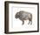 Wilderness II-Sandra Jacobs-Framed Art Print