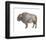 Wilderness II-Sandra Jacobs-Framed Art Print