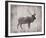 Wilderness III - Timber-Sandra Jacobs-Framed Giclee Print