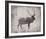 Wilderness III - Timber-Sandra Jacobs-Framed Giclee Print