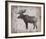 Wilderness IV - Timber-Sandra Jacobs-Framed Giclee Print