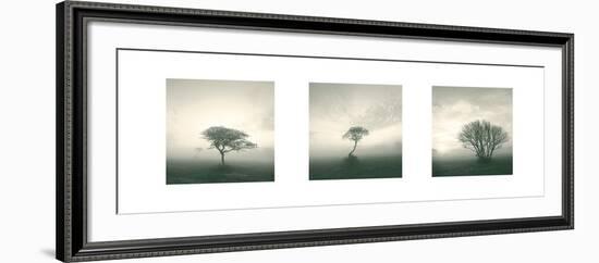 Wilderness Triptych-Michael Kahn-Framed Art Print