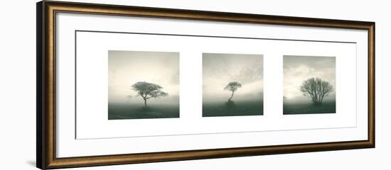 Wilderness Triptych-Michael Kahn-Framed Art Print