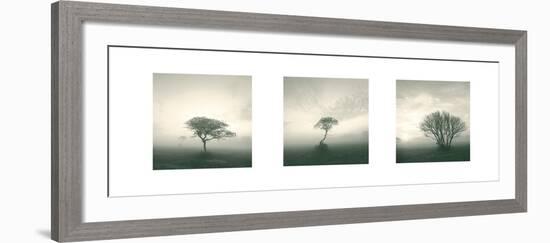 Wilderness Triptych-Michael Kahn-Framed Art Print