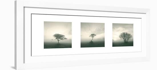 Wilderness Triptych-Michael Kahn-Framed Art Print