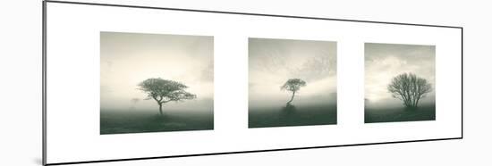 Wilderness Triptych-Michael Kahn-Mounted Art Print