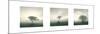 Wilderness Triptych-Michael Kahn-Mounted Art Print