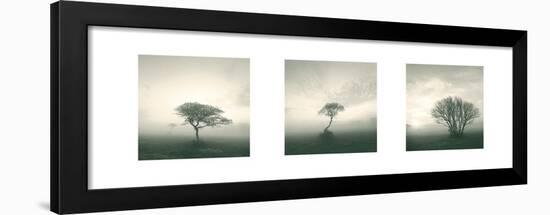 Wilderness Triptych-Michael Kahn-Framed Art Print