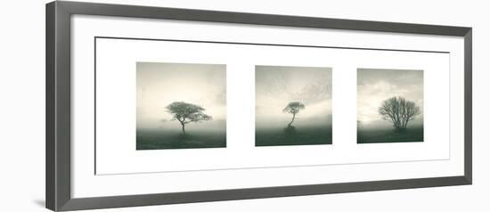 Wilderness Triptych-Michael Kahn-Framed Art Print