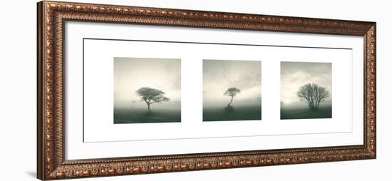 Wilderness Triptych-Michael Kahn-Framed Art Print