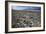 Wildflower Bloom, Death Valley, California-George Oze-Framed Photographic Print