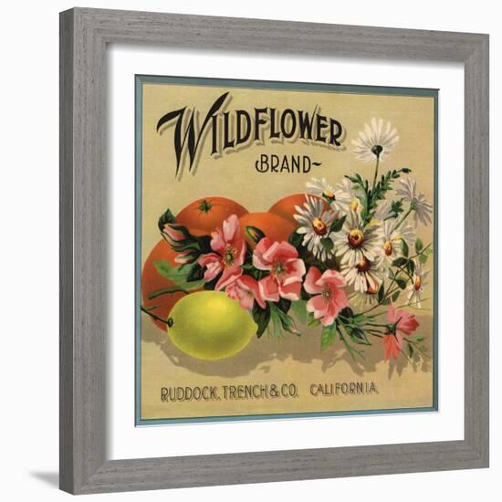 Wildflower Brand - Ruddock, California - Citrus Crate Label-Lantern Press-Framed Art Print