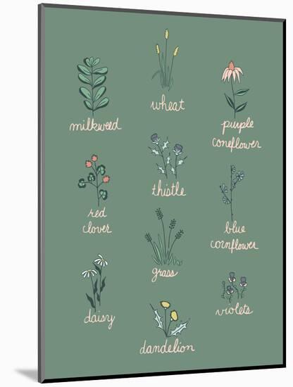 Wildflower Chart-Sweet Melody Designs-Mounted Art Print
