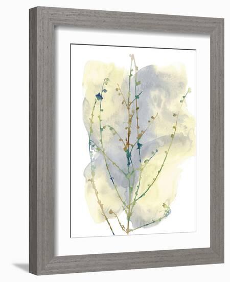 Wildflower Chorus-Tania Bello-Framed Giclee Print