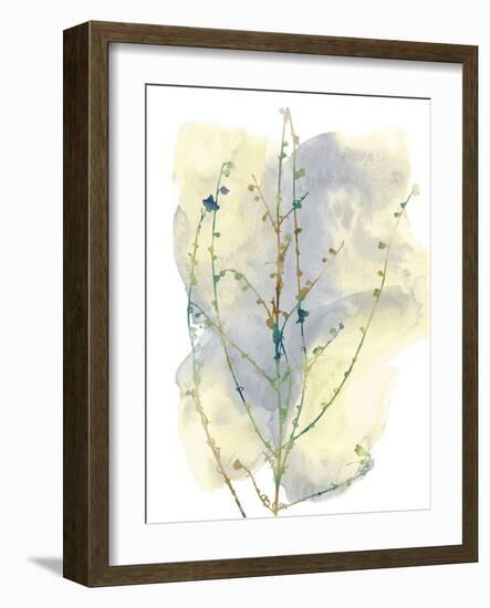 Wildflower Chorus-Tania Bello-Framed Giclee Print